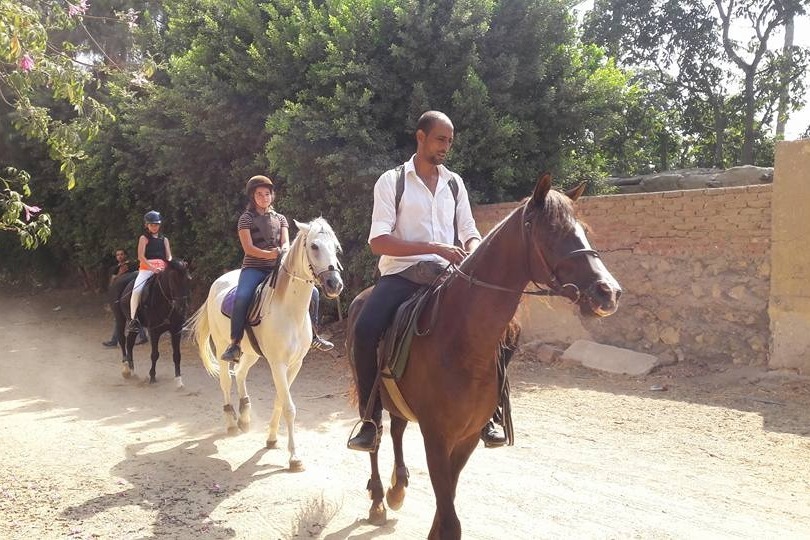 Tamer Cairo Horse Academy